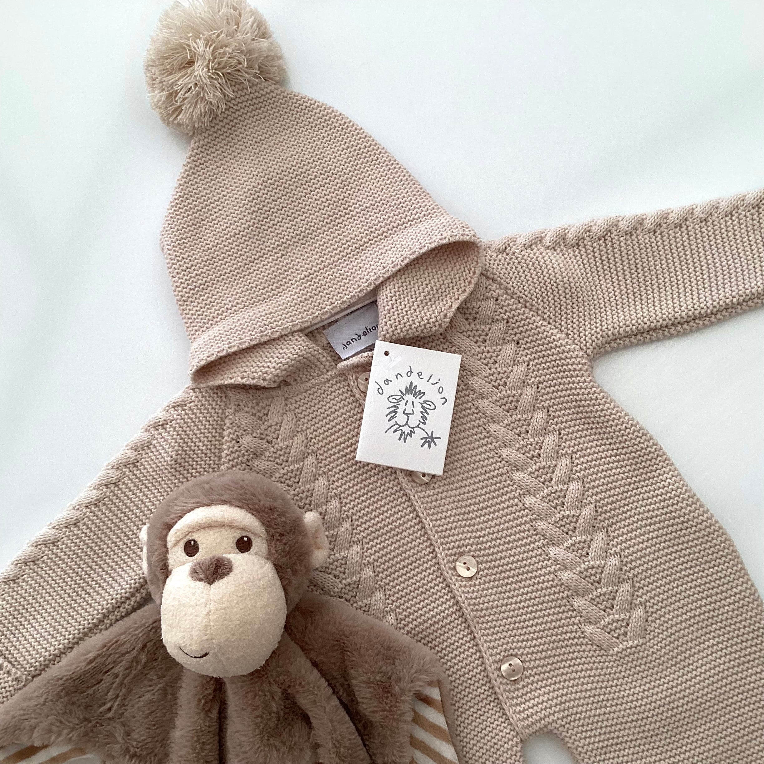 New Baby Boy Gift | CASIE | Dandelion Luxury Pram Suit and Cheeky Monkey Giftset