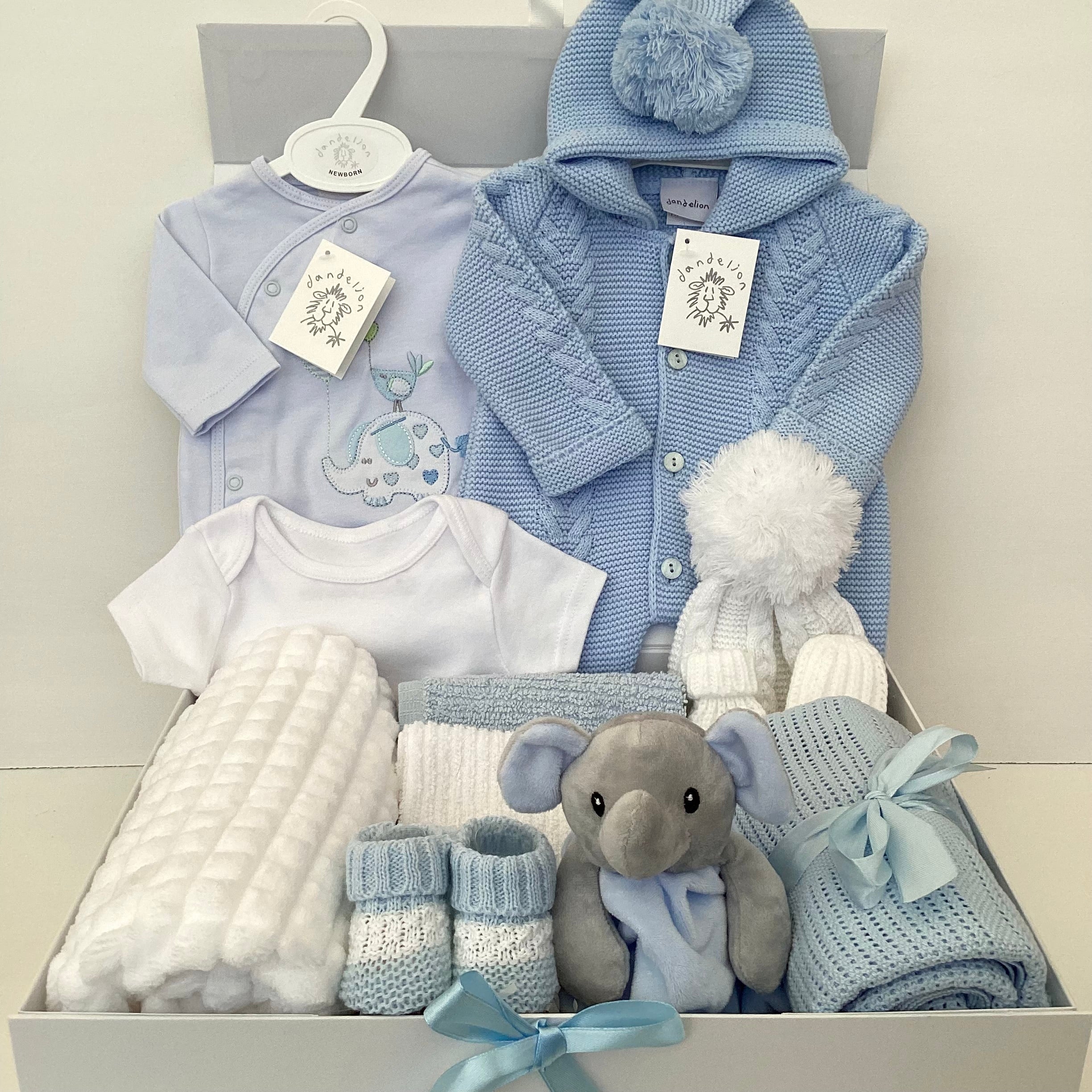 New Baby Boy Gift | NOAH | Luxury Dandelion Blue Pram Suit and Onesie