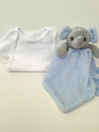 New Baby Boy Gift | NOAH | Luxury Dandelion Blue Pram Suit and Onesie