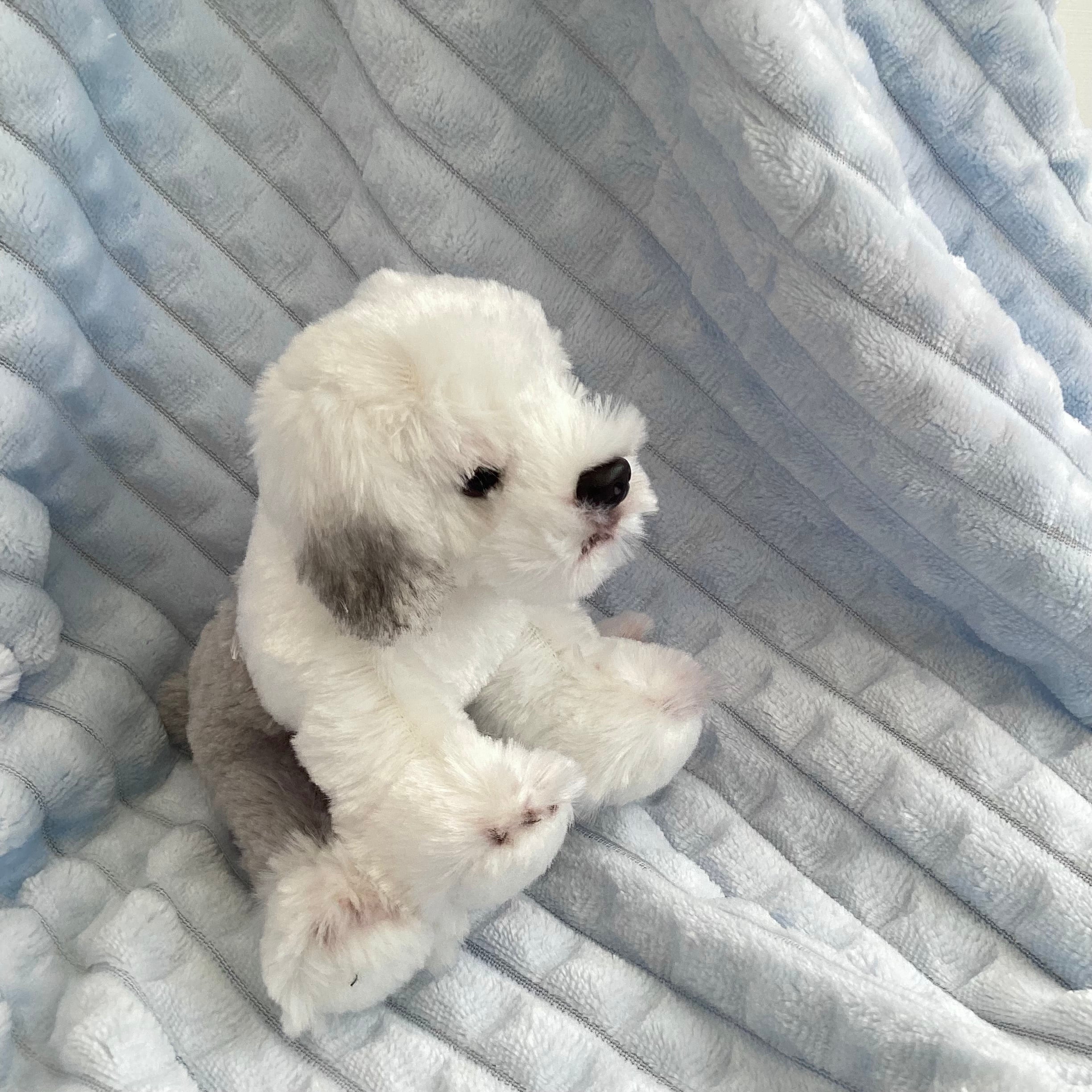 New Baby Boy Gift | SHAY | Blue Dandelion Knitted Jacket and Sheep Dog Comforter Giftset
