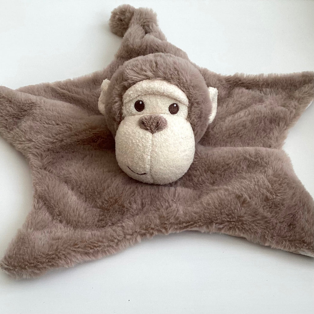 New Baby Boy Gift | CASIE | Dandelion Luxury Pram Suit and Cheeky Monkey Giftset