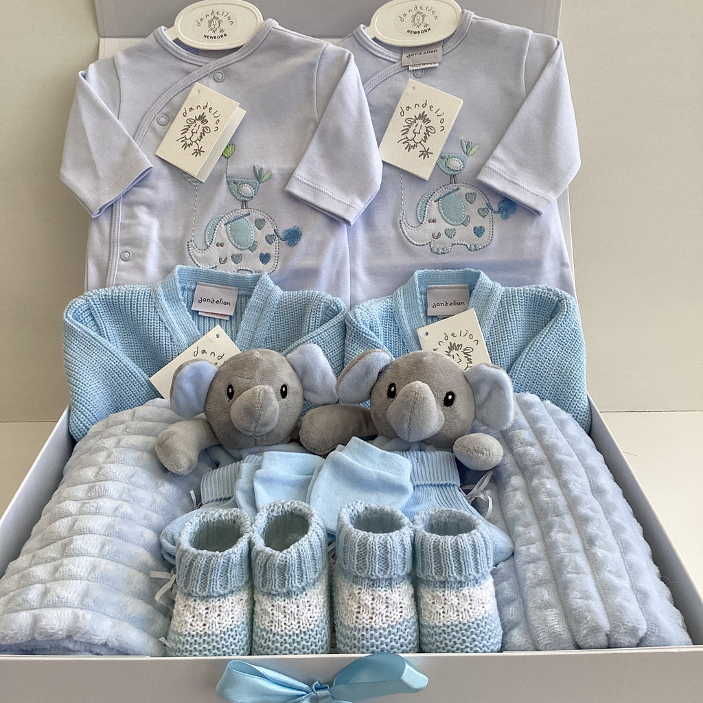 Newborn Twins Matching Outfits | Jack & Jacob Luxury Dandelion Baby Clothing Giftset