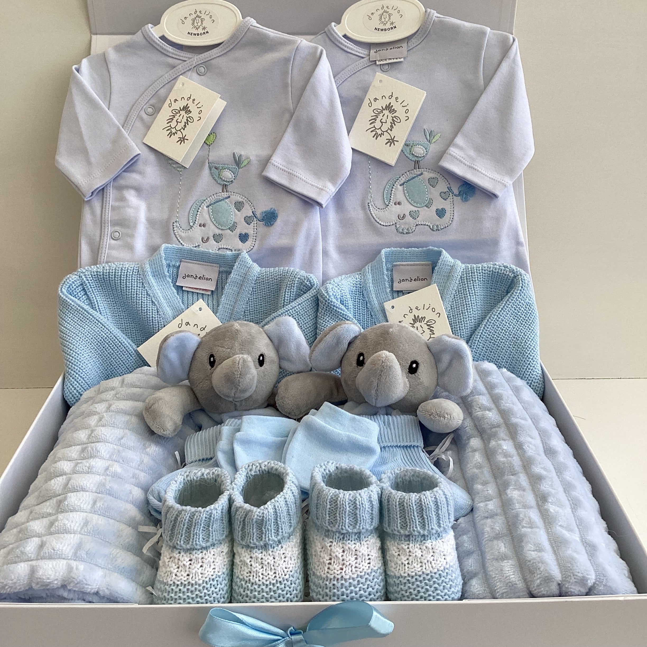 Newborn Twins Matching Outfits | Jack & Jacob Luxury Dandelion Baby Clothing Giftset