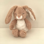 New Baby Gift | SOPHIA | Bunny Rabbit and Pink Essentials Giftset