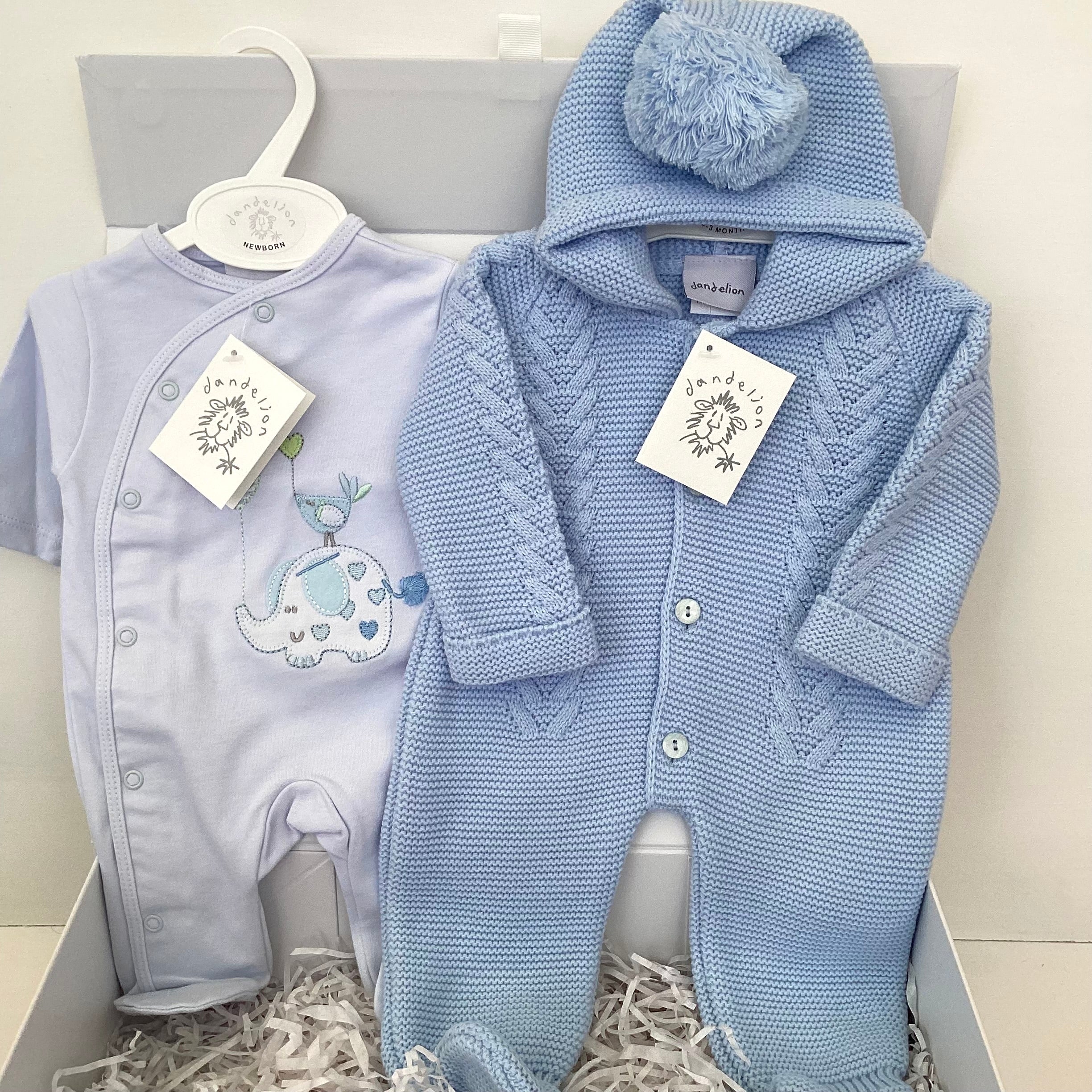 New Baby Boy Gift | NOAH | Luxury Dandelion Blue Pram Suit and Onesie
