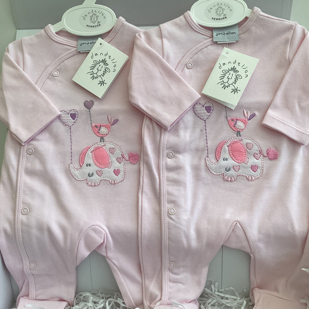 Newborn Twins Matching Outfits |TABITHA & TAYA Luxury Dandelion Baby Clothing Giftset