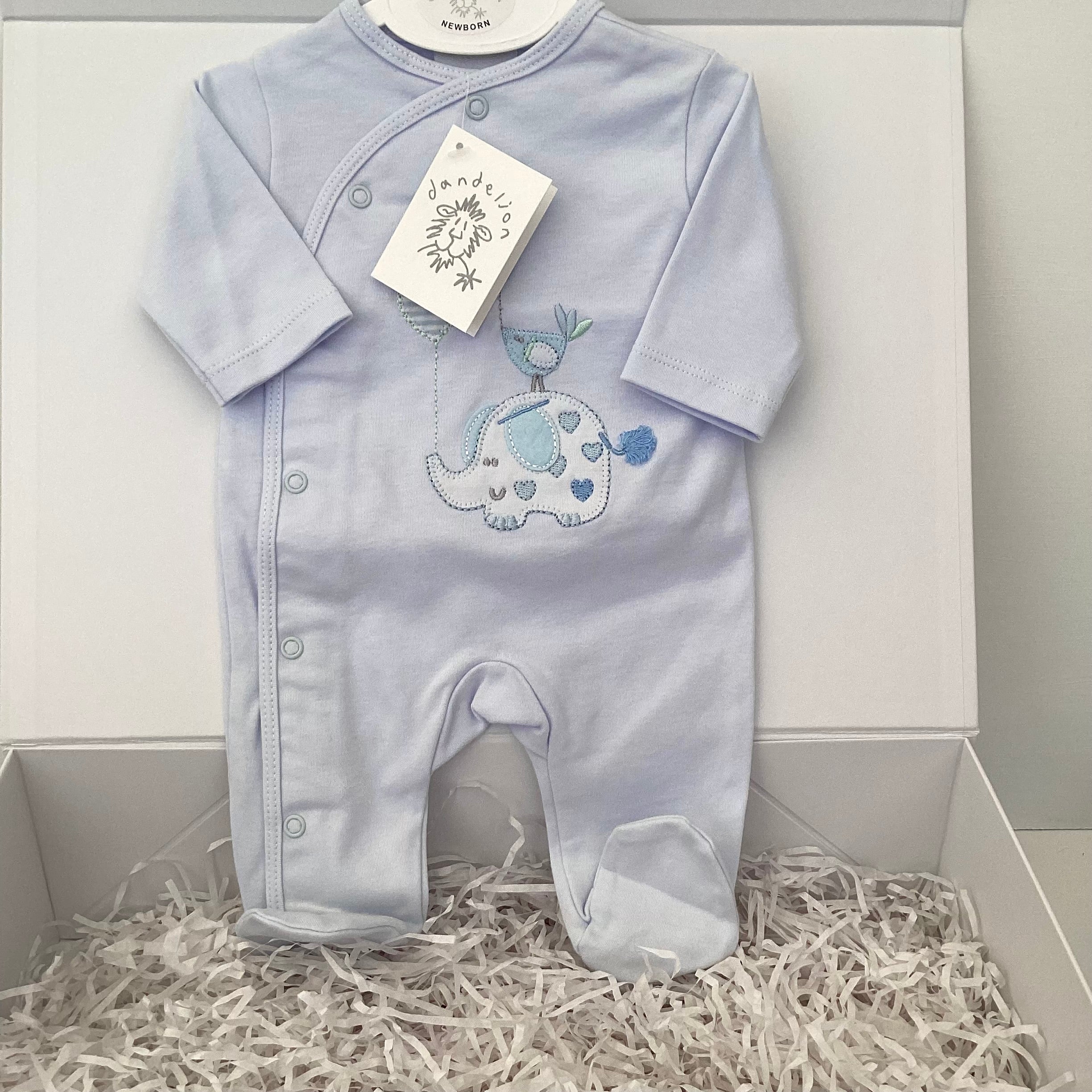 New Baby Boy Gift | NOAH | Luxury Dandelion Blue Pram Suit and Onesie