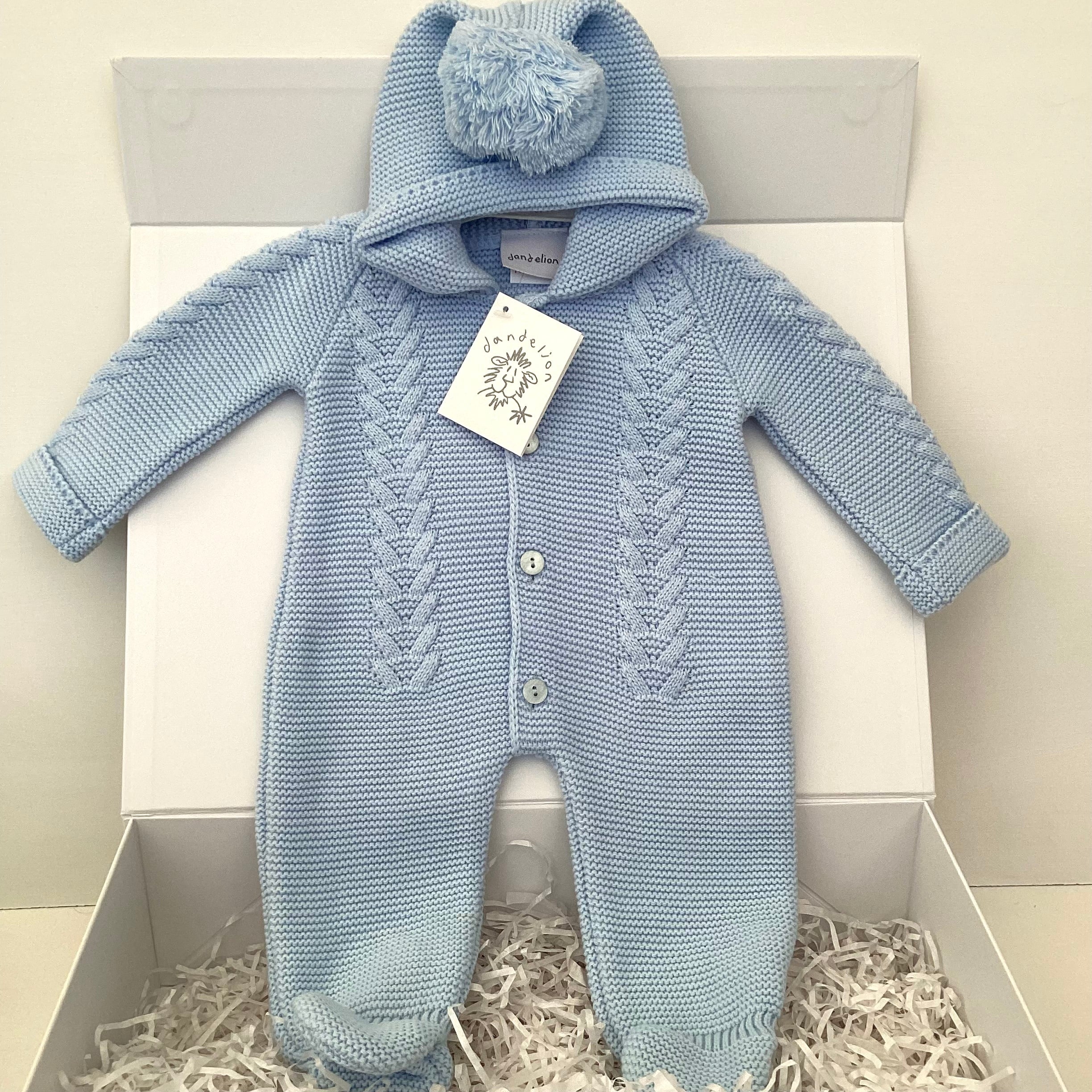 New Baby Boy Gift | NOAH | Luxury Dandelion Blue Pram Suit and Onesie