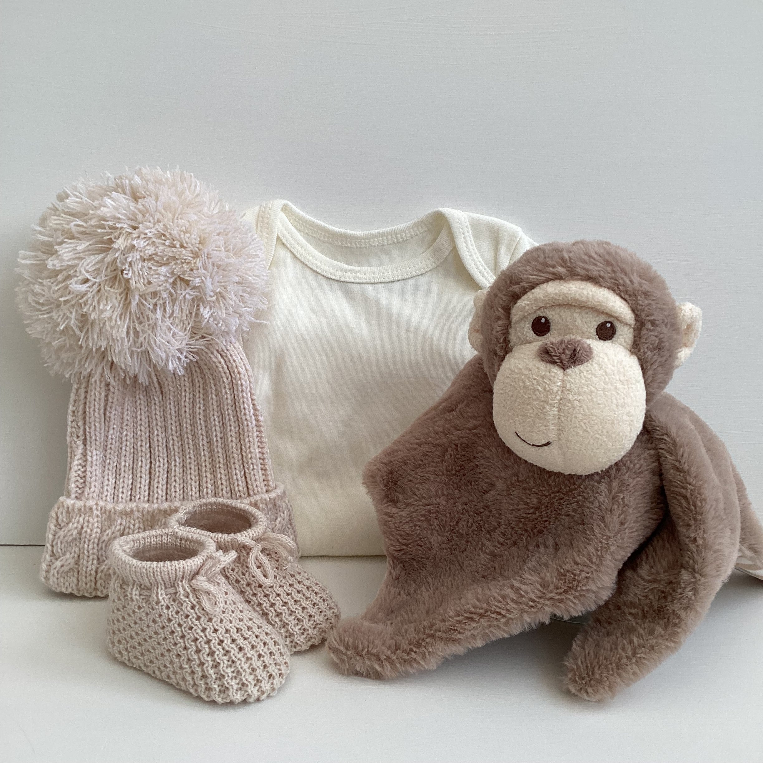 New Baby Boy Gift | CASIE | Dandelion Luxury Pram Suit and Cheeky Monkey Giftset