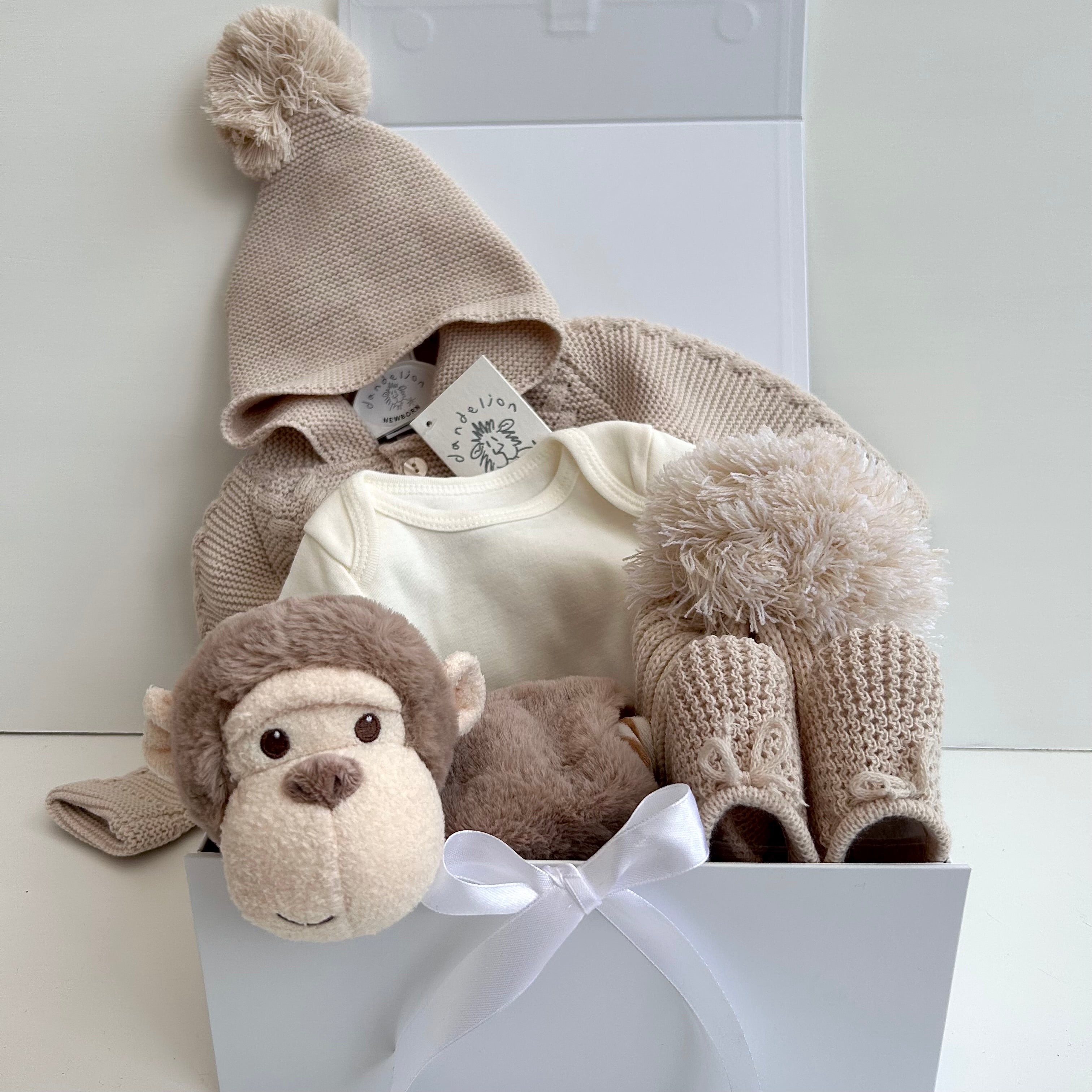 New Baby Boy Gift | CASIE | Dandelion Luxury Pram Suit and Cheeky Monkey Giftset